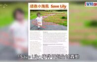 Save Lily｜Danny父母凌晨離開入境處總部 關女稱「內心安穩」對事件有信心 DNA報告或送瑞典證Lily關係