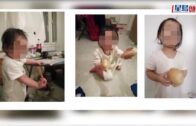 Save Lily｜法庭按指示送Danny往收容所 其父母同意抽取DNA作比對