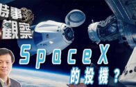 東莞暴雨｜兩揚子鱷出逃鳳崗街頭 一條落網一條仍在逃｜有片
