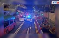 旅韓大熊貓「華妮」誕下第四胎 171克雌性幼崽叫聲洪亮