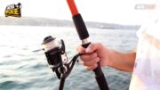 星島申訴王 | 鮫魚成釣魚界大熱 實測1小時收穫