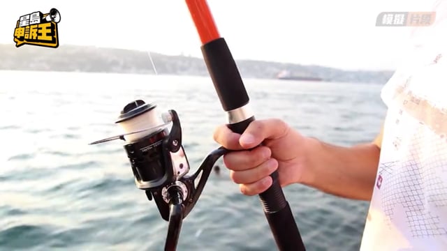 星島申訴王 | 鮫魚成釣魚界大熱 實測1小時收穫
