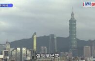 深水埗特賣場職員街頭捉賊 涉箍頸查身份證惹執法爭議