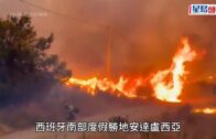 旺角綠帽男推撞情侶｜消防處證被捕人為休班消防員:若違反紀律定必嚴肅處理