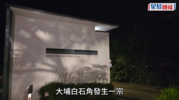 大埔單車女夜遊遇2青年滋擾 男伴挺身「護花」遭圍毆搶袋 失證件現金