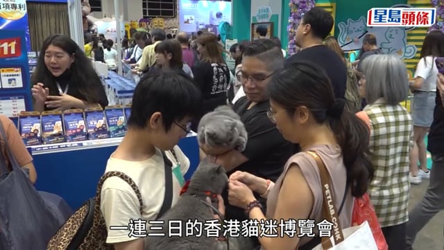 貓迷博覽會2026｜首次京港同步舉辦寵物展 有貓主帶同「主子」掃貨:今次換貓咪做主