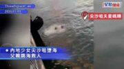 尖沙咀內地少女墮海 父親落水施救 水警消防趕至救起