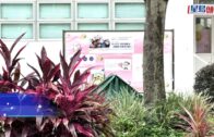 拍片吸粉｜成都23歲男子深夜住宅天台跳傘 涉危害公共安全遭行拘｜有片