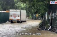 黃雨｜打鼓嶺李屋村淹浸 村路變「黃河」 途人車輛涉水而行