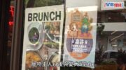 狗隻入食肆｜預留室內空間作「毛孩專區」 餐廳負責人:視乎實際情況再檢討安排