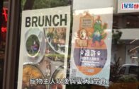 狗隻入食肆｜預留室內空間作「毛孩專區」 餐廳負責人:視乎實際情況再檢討安排