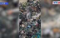 旺角綠帽男推撞情侶｜消防處證被捕人為休班消防員:若違反紀律定必嚴肅處理