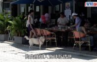 旺角綠帽男推撞情侶｜消防處證被捕人為休班消防員:若違反紀律定必嚴肅處理