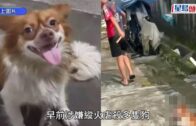 DSE放榜2026｜保良局羅氏基金中學首誕狀元 超狀對成績感驚喜 放榜前徹夜難眠 靠睇世界盃減壓