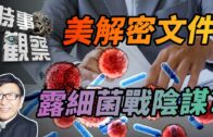 世界盃2026｜阿根廷樂極忘形公然宣示福克蘭主權 涉政治宣傳面臨 FIFA 重罰