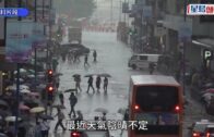 北海道富良野兩車迎頭相撞致1死5傷 消息：死者為53歲港婦