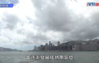 海關放蛇打擊零售層面私煙 兩周拘11人檢獲近60萬元未完稅香煙