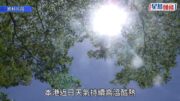 熱帶氣旋「紅霞」︱天文台：明日考慮發一號戒備信號 視乎風力周六評估改發更高信號