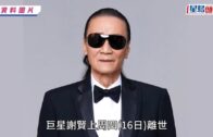 旺角通菜街火｜3貓2狗葬身火海 女戶主涉偷電被捕