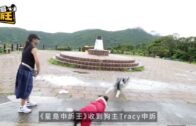 星島申訴王|西貢大坳門放狗起爭執 女狗主申訴被網上欺凌:飽受滋擾