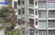 星島申訴王|西貢大坳門放狗起爭執 女狗主申訴被網上欺凌:飽受滋擾