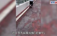 海關放蛇打擊零售層面私煙 兩周拘11人檢獲近60萬元未完稅香煙