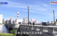 北海道富良野兩車迎頭相撞致1死5傷 消息：死者為53歲港婦