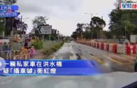 洪水橋48歲司機「攝車罅」衝燈險撞過路童 涉危險駕駛被捕