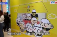 北海道富良野兩車迎頭相撞致1死5傷 消息：死者為53歲港婦