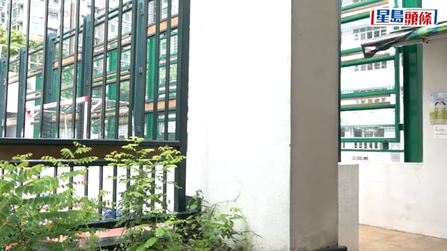 DSE放榜2026｜沙田崇真首誕狀元鄭一力 常出入醫院受醫護照顧 盼讀醫傳遞溫暖