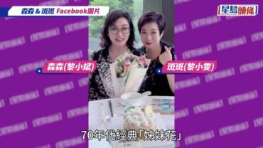 「EYT姊妹花」斑斑慶祝胞姊75歲生日 森森高顏值兒子罕曝光 神複製媽媽優秀基因