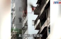 時事觀察—國凱：不作為的後果