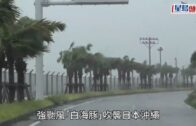 星島申訴王 | 港婦自稱白龍王信徒 甜品店派錢每人$500 9名食客「唔敢拎」 白龍王香港弟子親解謎團