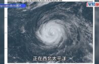 將軍澳截查可疑私家車 檢懷疑大麻精油及大麻草 兩男當場被捕