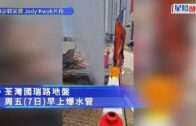 將軍澳寵物公園史賓格犬疑被毒斃 網民：係狗公園放毒等天收
