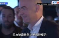 將軍澳寵物公園史賓格犬疑被毒斃 網民：係狗公園放毒等天收