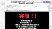 將軍澳疑毒狗｜去年寵物公園已現可疑食物 議員曾促康文署加強巡查