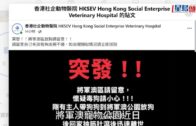 將軍澳寵物公園史賓格犬疑被毒斃 網民：係狗公園放毒等天收