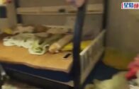 颱風白海豚︱風雨襲黃山致纜車停擺 數百旅客冒雨「打蛇餅」落山｜有片