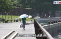 颱風白海豚︱風雨襲黃山致纜車停擺 數百旅客冒雨「打蛇餅」落山｜有片