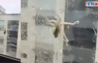 颱風白海豚︱風雨襲黃山致纜車停擺 數百旅客冒雨「打蛇餅」落山｜有片