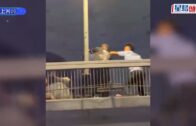 颱風白海豚︱風雨襲黃山致纜車停擺 數百旅客冒雨「打蛇餅」落山｜有片