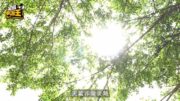 星島申訴王︱新消暑神器 記者實測「一鎚凍包」 降溫產品大比拼 量度成效