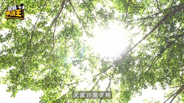 星島申訴王︱新消暑神器 記者實測「一鎚凍包」 降溫產品大比拼 量度成效