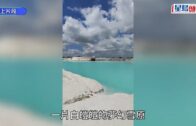 中美關係︱TikTok完成美資重組 白宮解除聯邦政府設備使用禁令