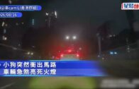新皇崗口岸︱鄧炳強指兩次測試整體暢順 需改善指示牌、防止交匯處擠塞 10.1前趕及啟用？鄧：盡快