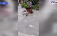 越野賽選手衝線前遇奏國歌 肅立唱畢始過終點獲讚｜有片