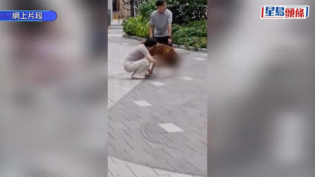 元朗狗咬狗｜遭大型犬襲擊勿隨意向後扯！專家教路：大量水淋向狗隻鼻子