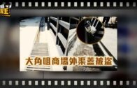 元朗狗咬狗｜涉事大狗「拉里」身世可憐 遭多次棄養恐人道處理 毛守願接收保命