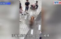 元朗狗咬狗｜涉事大狗「拉里」身世可憐 遭多次棄養恐人道處理 毛守願接收保命